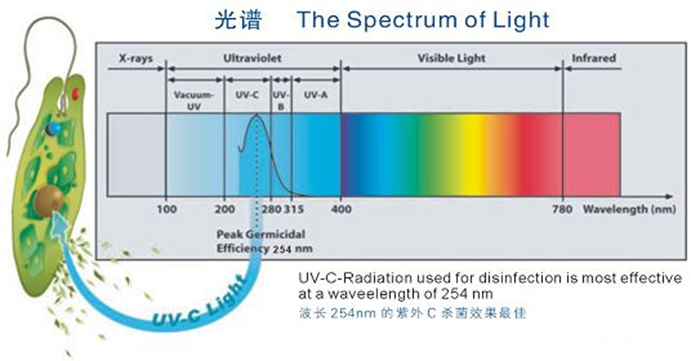 科普！紫外線(xiàn)殺菌燈對(duì)人體影響及正確使用方法
